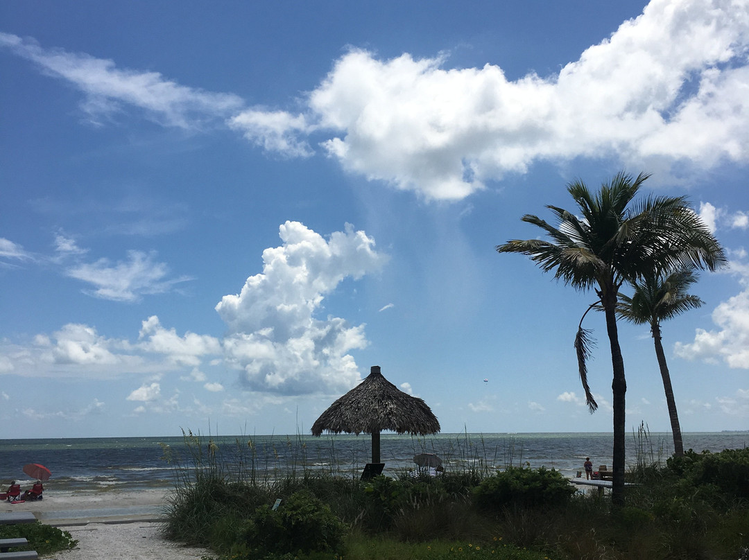 Newton Beach Park-迈尔斯堡海滩必去景点