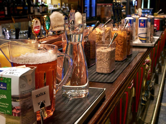 瑞典精英酒店主图