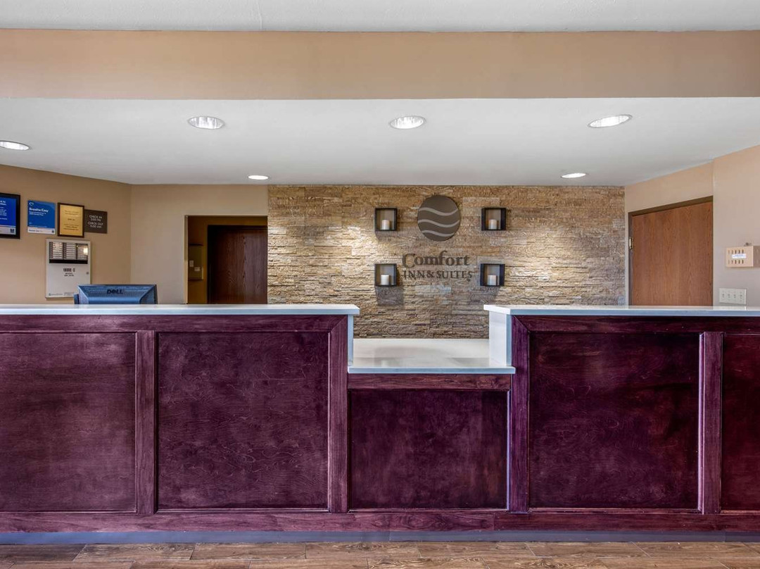 Comfort Inn & Suites主图