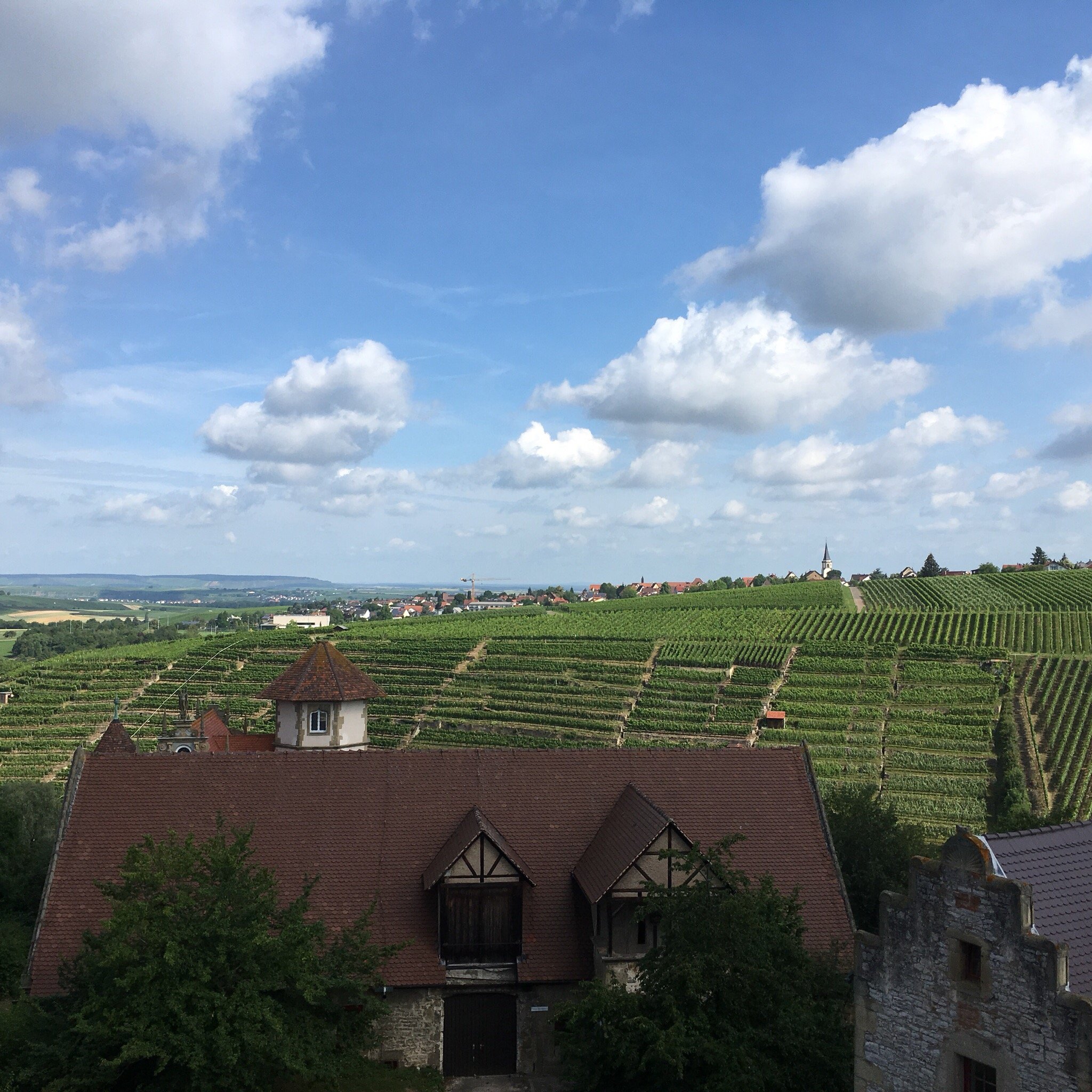 Schloss Liebenstein - Hotel & Restaurant-官方