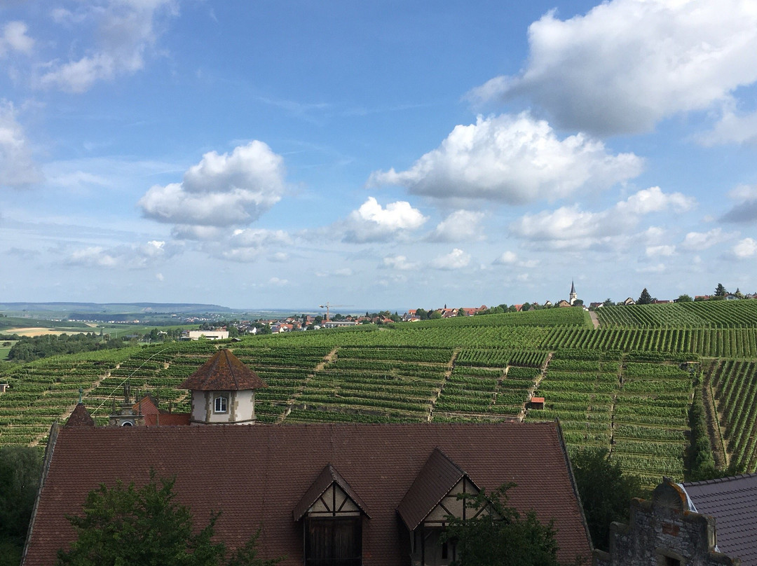 Schloss Liebenstein - Hotel & Restaurant主图