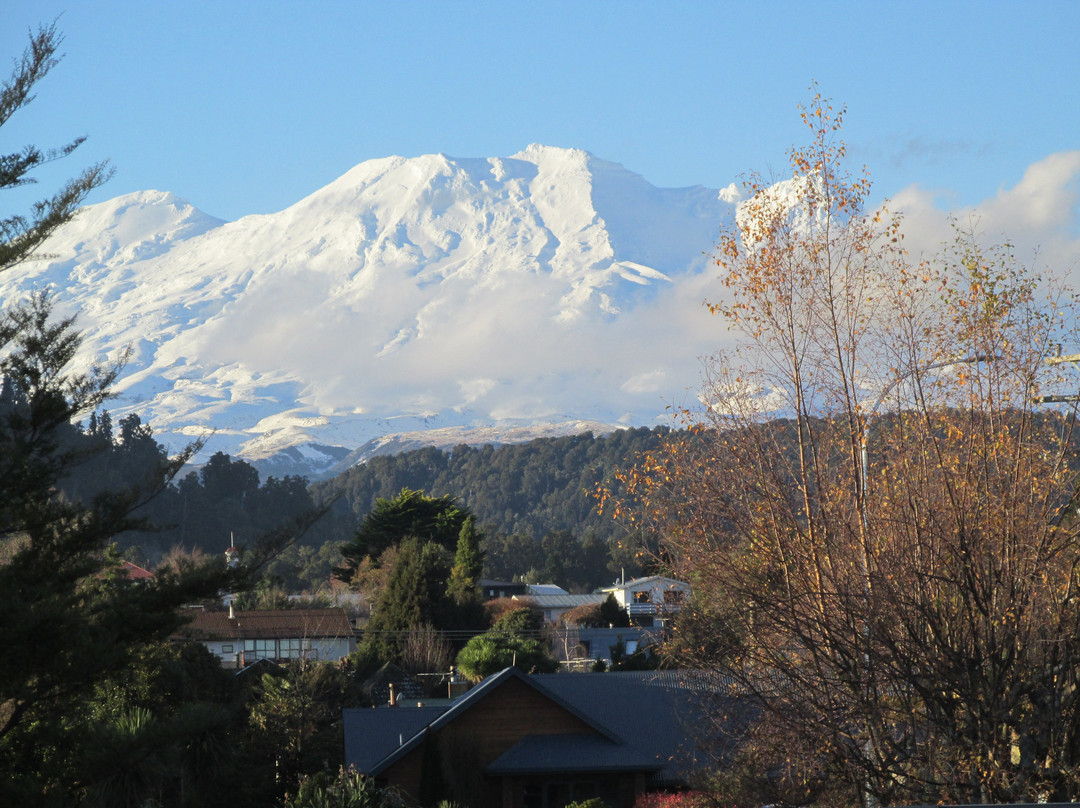 Ohakune Court Motel主图