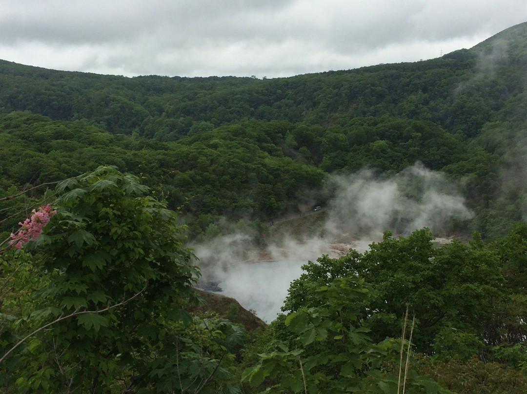 Hiyoriyama Viewing Platform-登别市必去景点