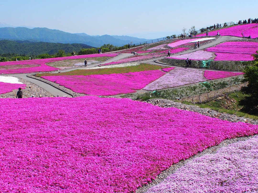 Chausuyama-丰根村必去景点