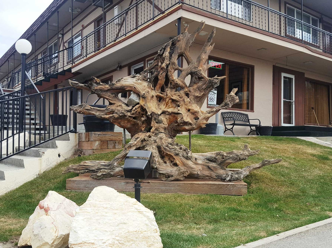 Bristlecone Motel主图