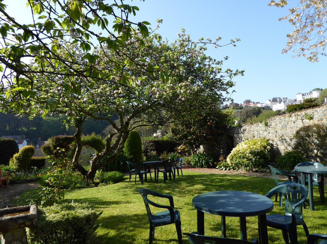 The Pandora Hotel主图