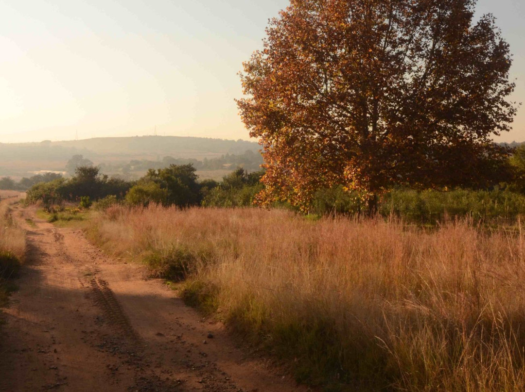 Random Harvest Country Cottages主图