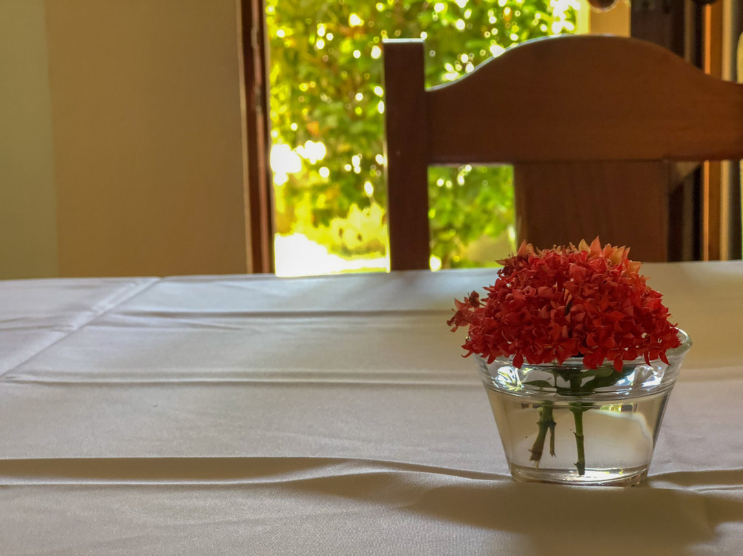 Hotel Isolina Beach主图