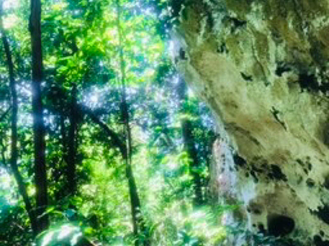 Tabon Caves-Quezon必去景点