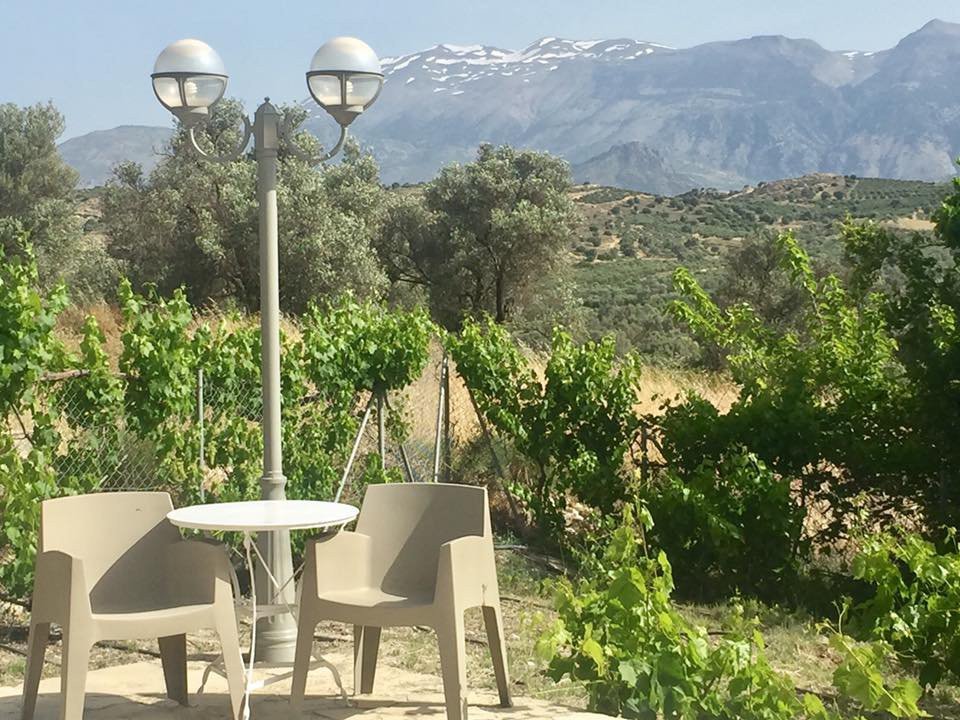 Ambeliotissa Apartments主图