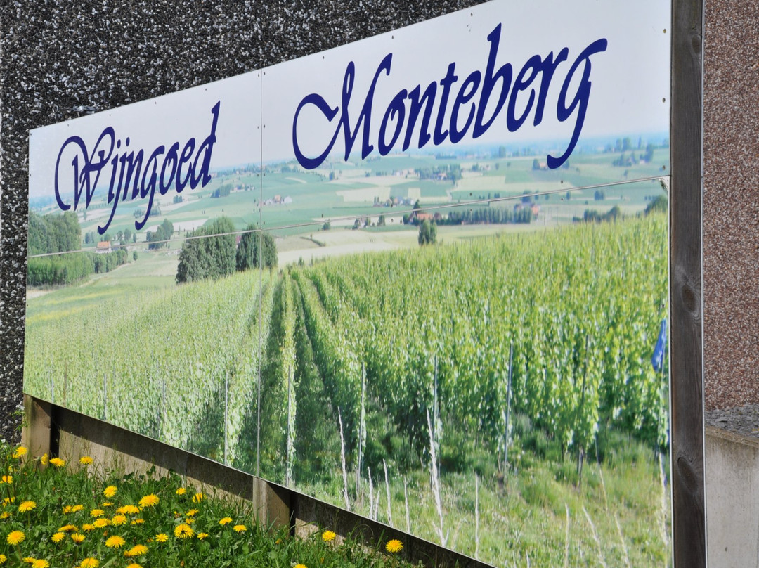 Wijngoed Monteberg景点图片