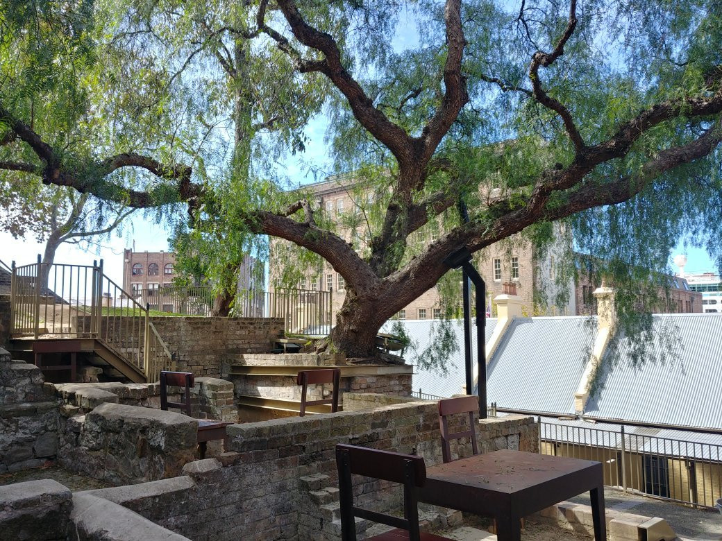 Foundation Park-悉尼必去景点