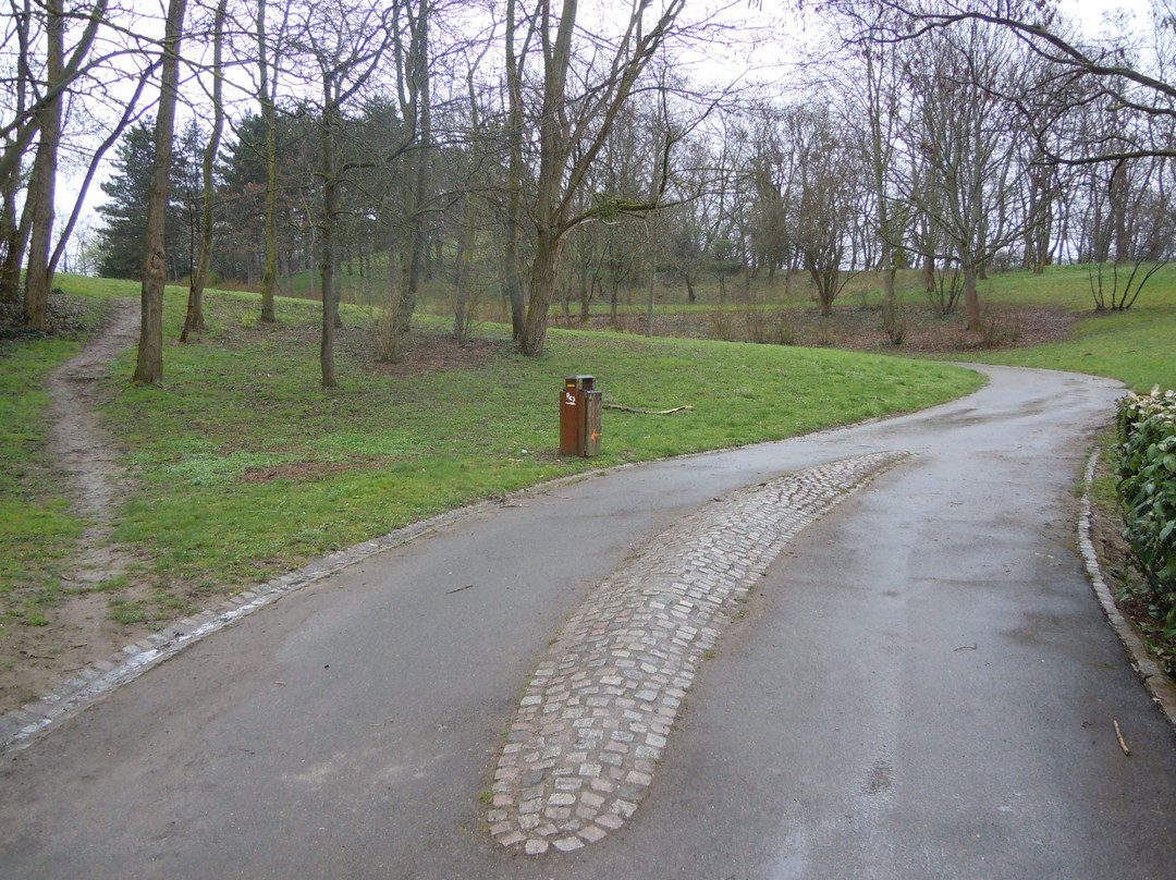 Parc de la Butte Verte景点图片