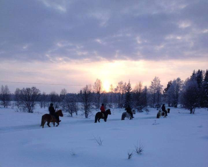 Nurminiemen ratsutila/riding stables景点图片