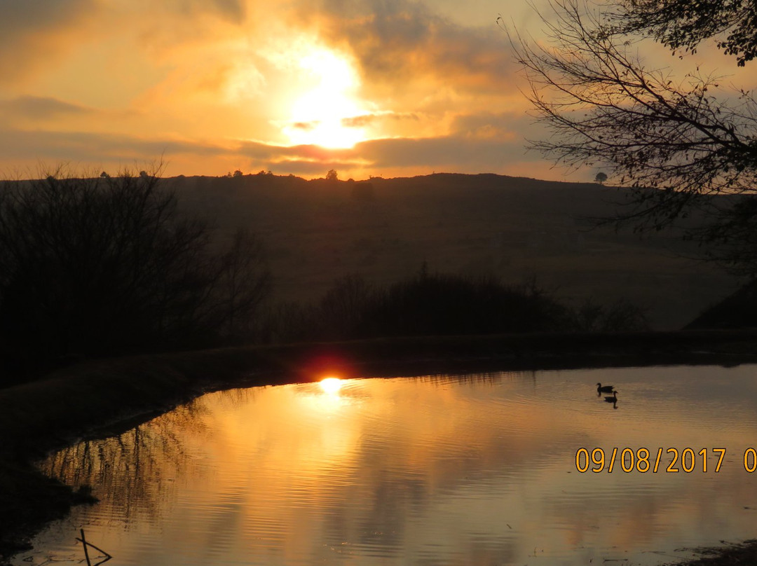 Walkersons Hotel & Spa主图