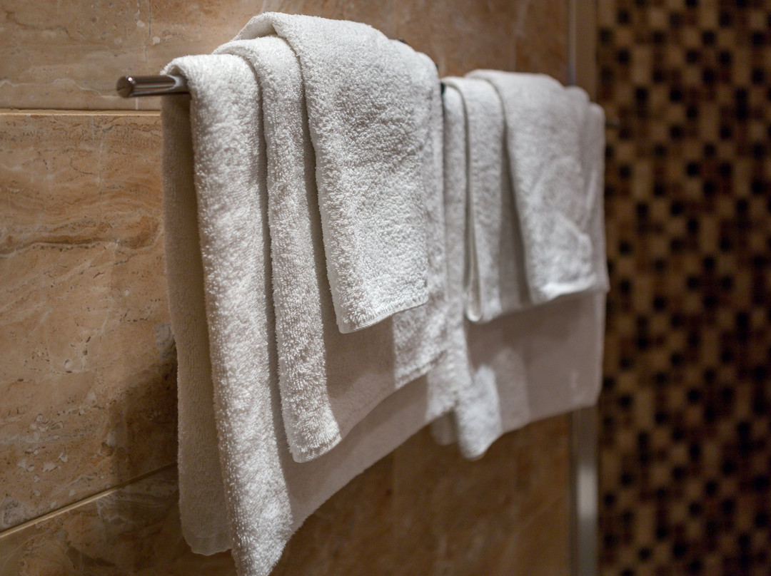 Skvorechnik Art Hotel主图