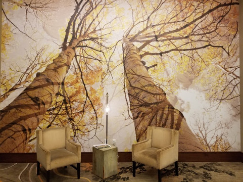 奥罗拉丹佛会议中心凯悦酒店主图