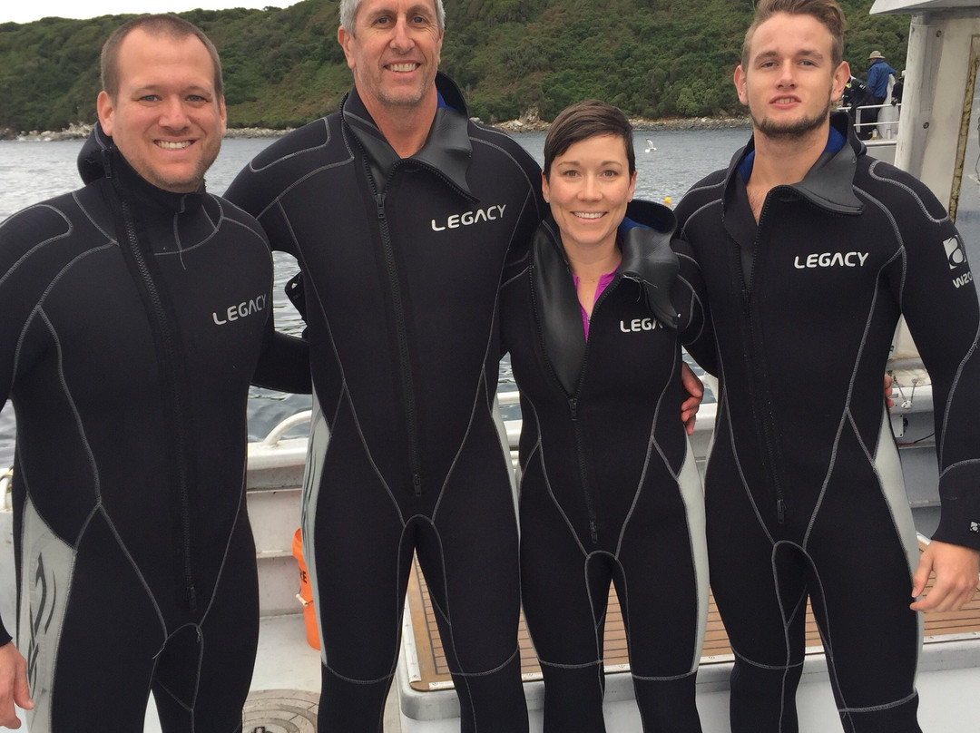 Shark Dive New Zealand-布拉夫必去景点