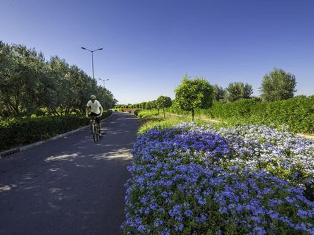 Oliva Hotel Condominium Marrakech主图