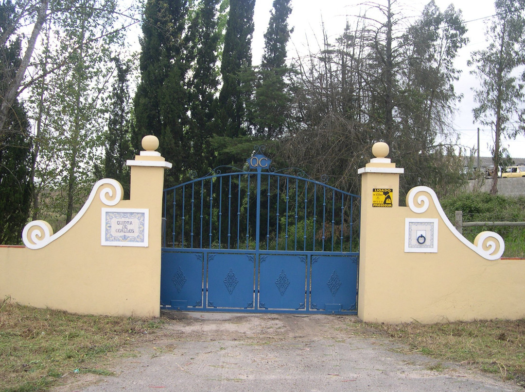 Quinta de Coalhos主图