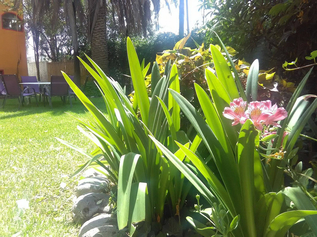 Hotel La Gloria De Calvillo主图