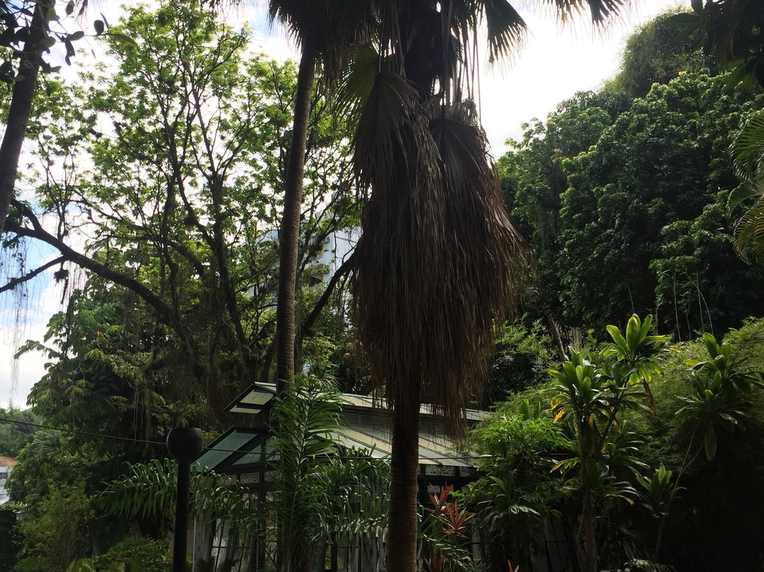 Solar do Jambeiro-尼泰罗伊必去景点