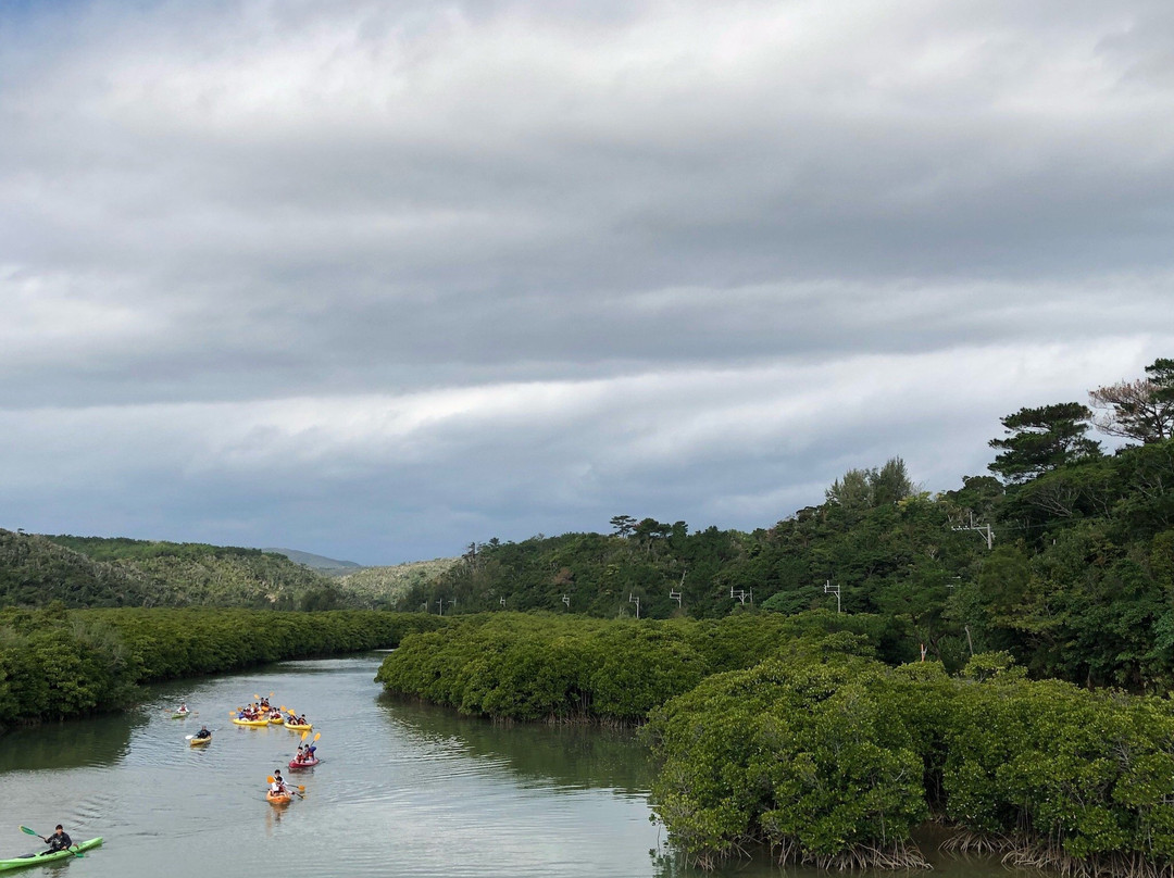 Gesashi Bay's Mangrove Forest景点图片