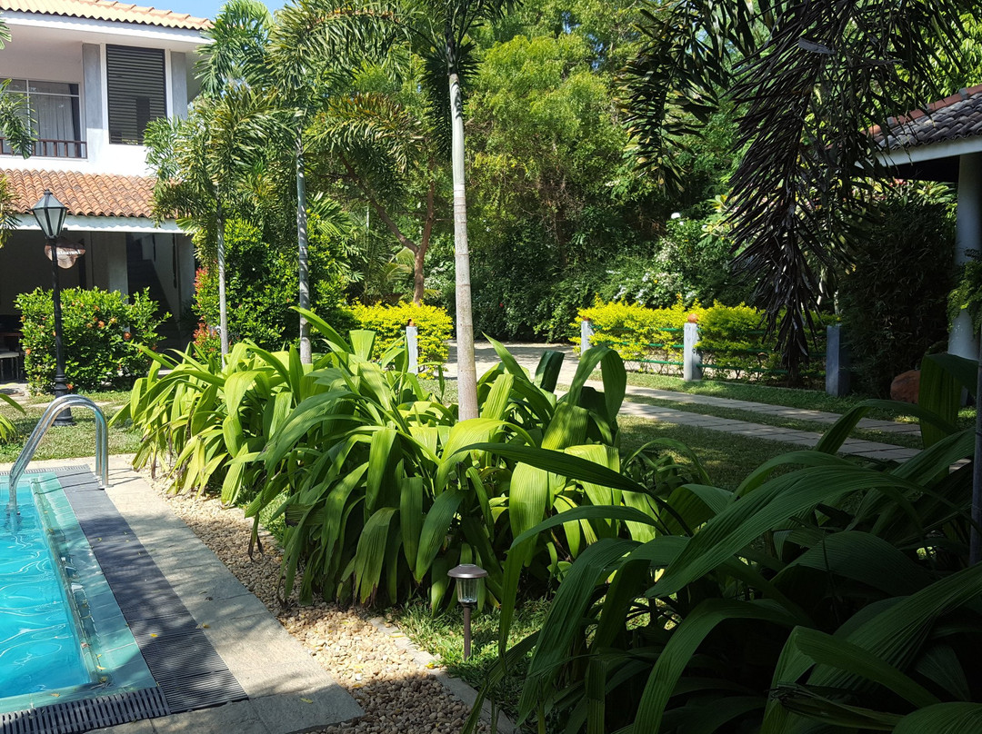 The Wild Heaven主图