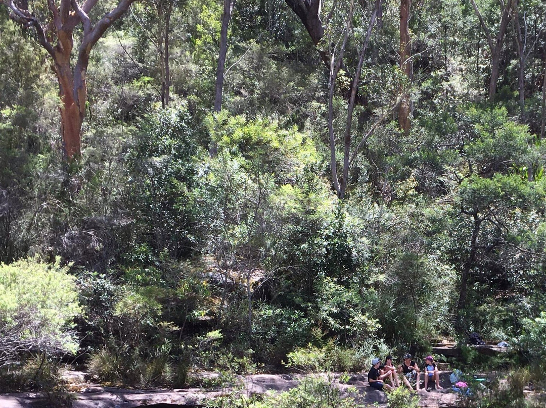 Karloo Pools-Royal National Park必去景点