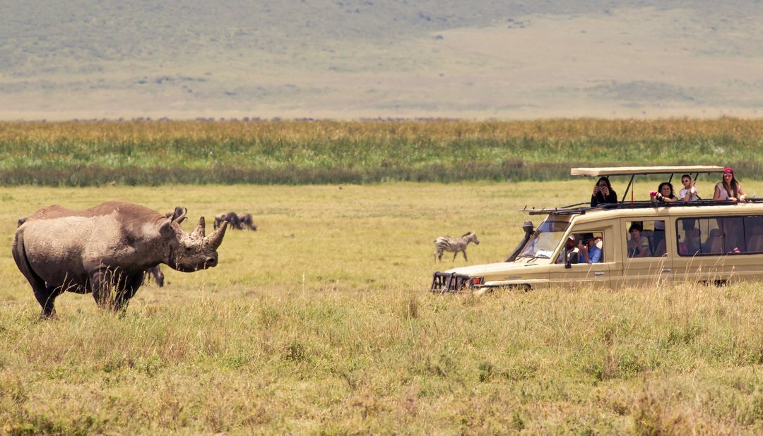 Tazama Africa Tours and Safari景点图片