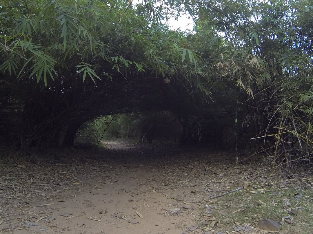 Community Based Eco-Tourism Day Tours-戈公必去景点