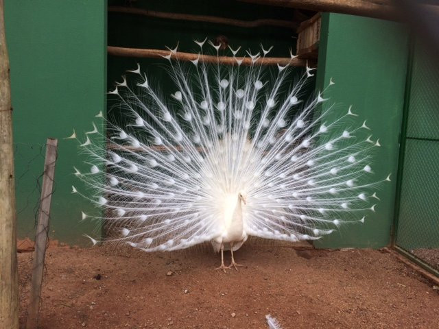 Andradas酒店住宿-Pousada Famiglia Barthô