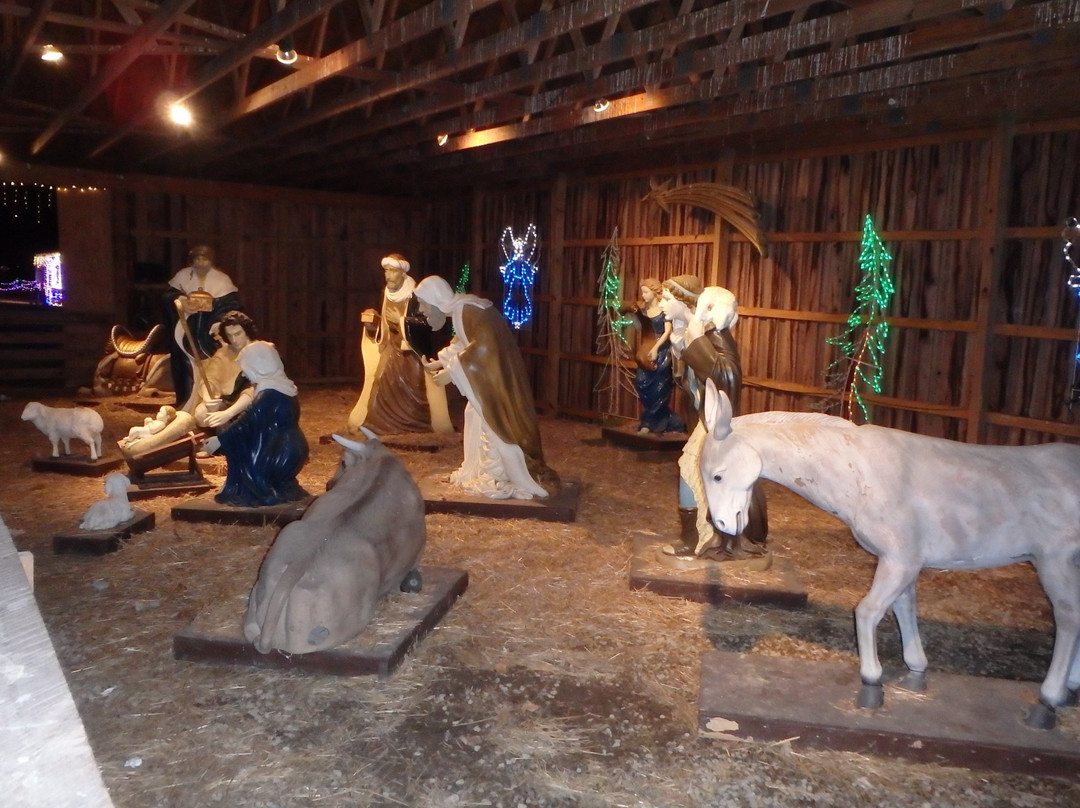 The Christmas Ranch景点图片