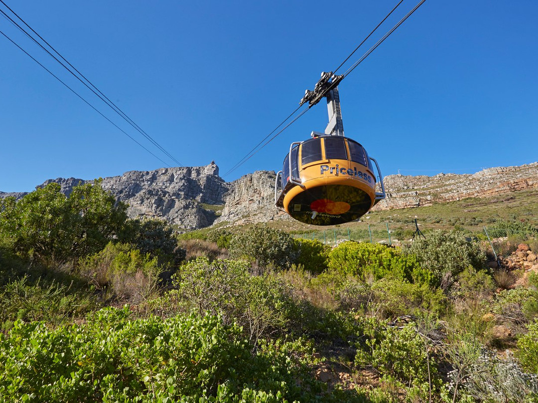 桌山空中索道-开普敦中心区必去景点