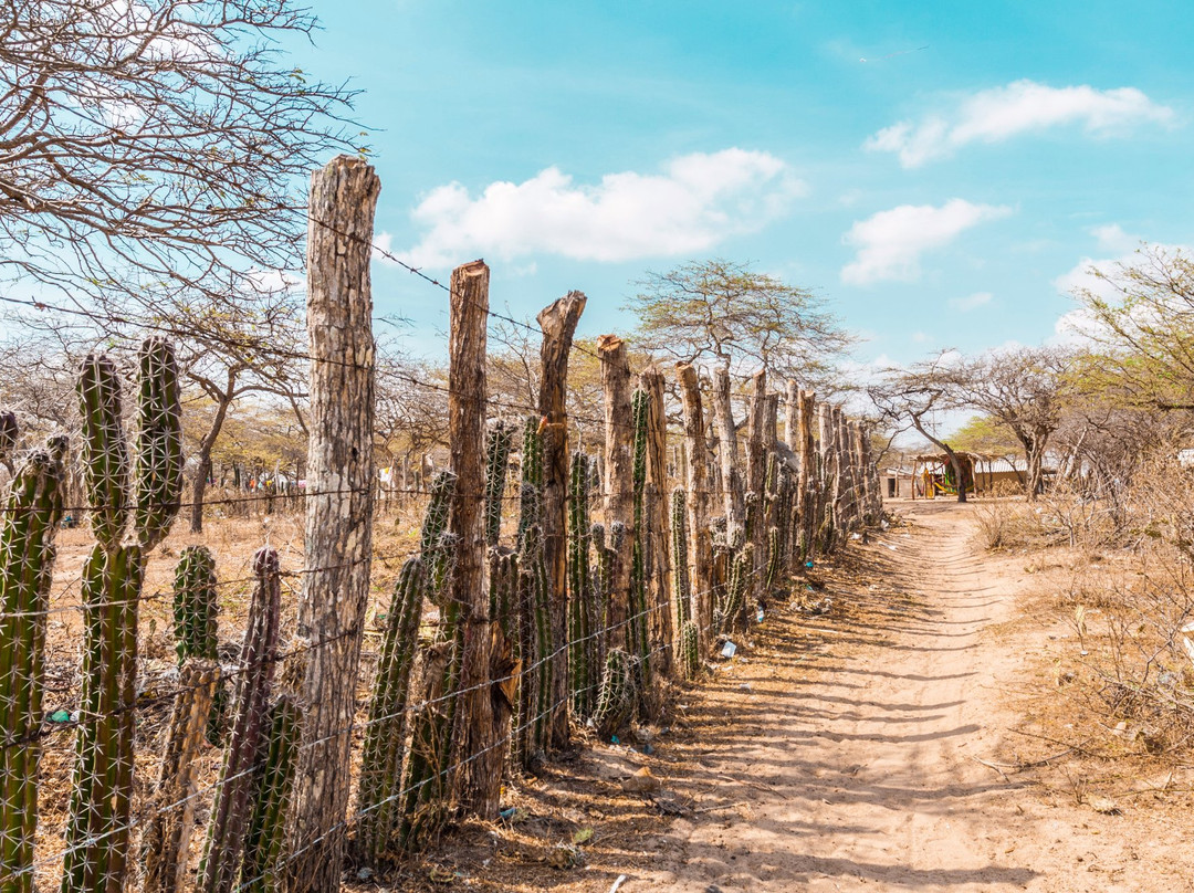 Camarones旅游攻略图片