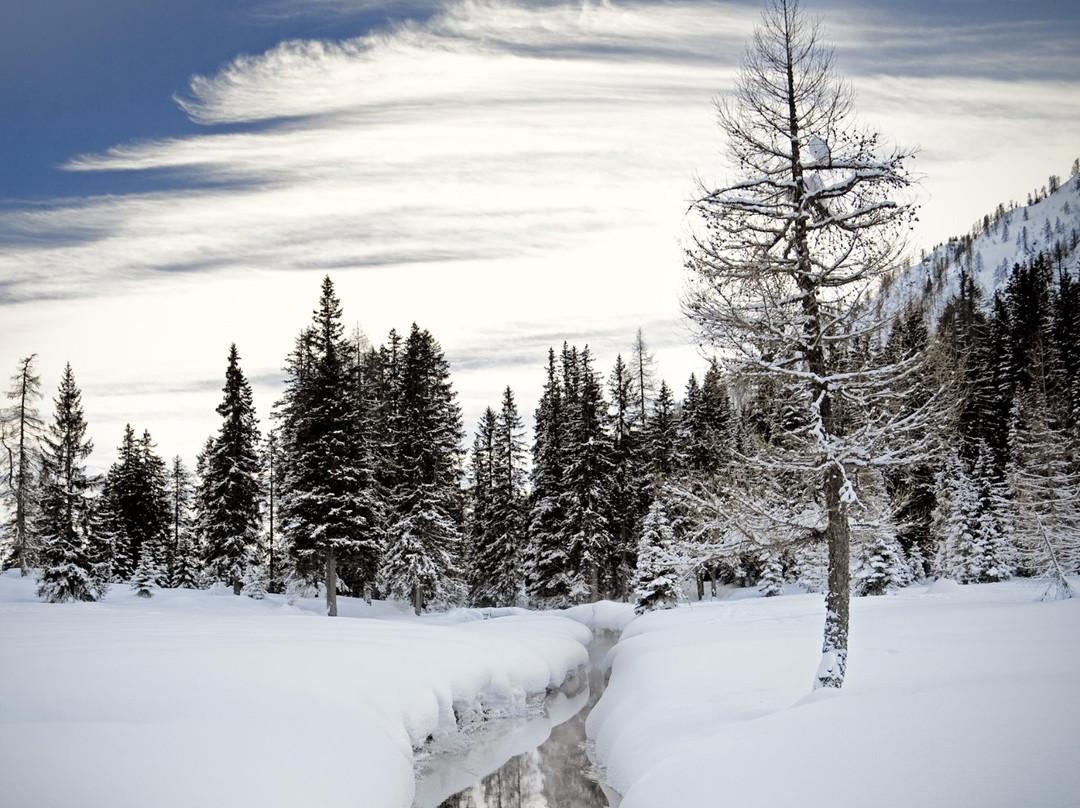 Parco Naturale Adamello Brenta Geopark景点图片