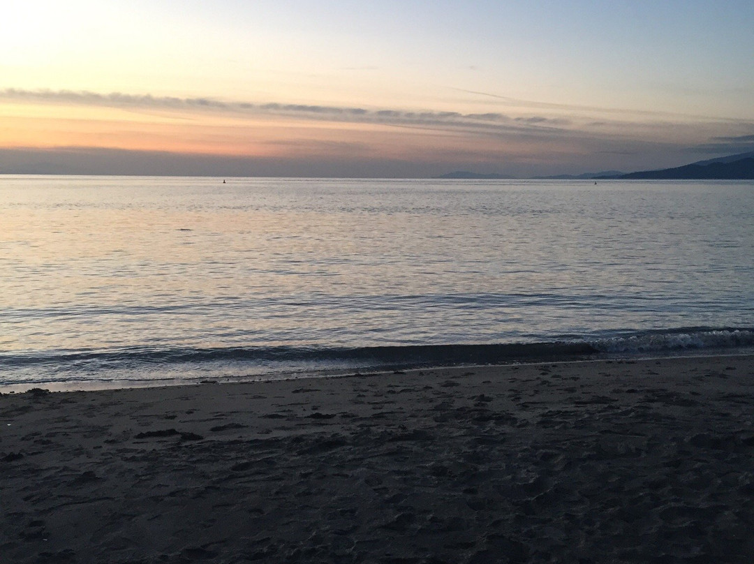 Foreshore Park-纽卡斯尔必去景点