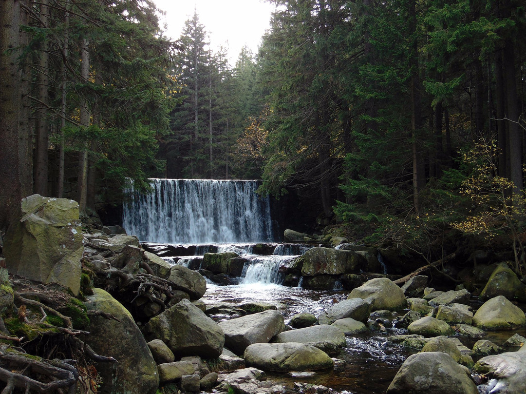 Wild Waterfall景点图片