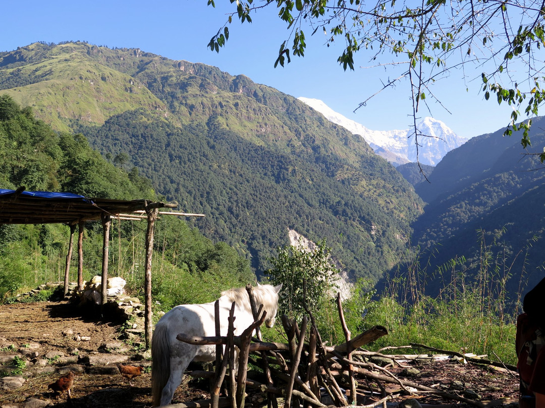 Big Sky Treks & Expeditions-加德满都必去景点