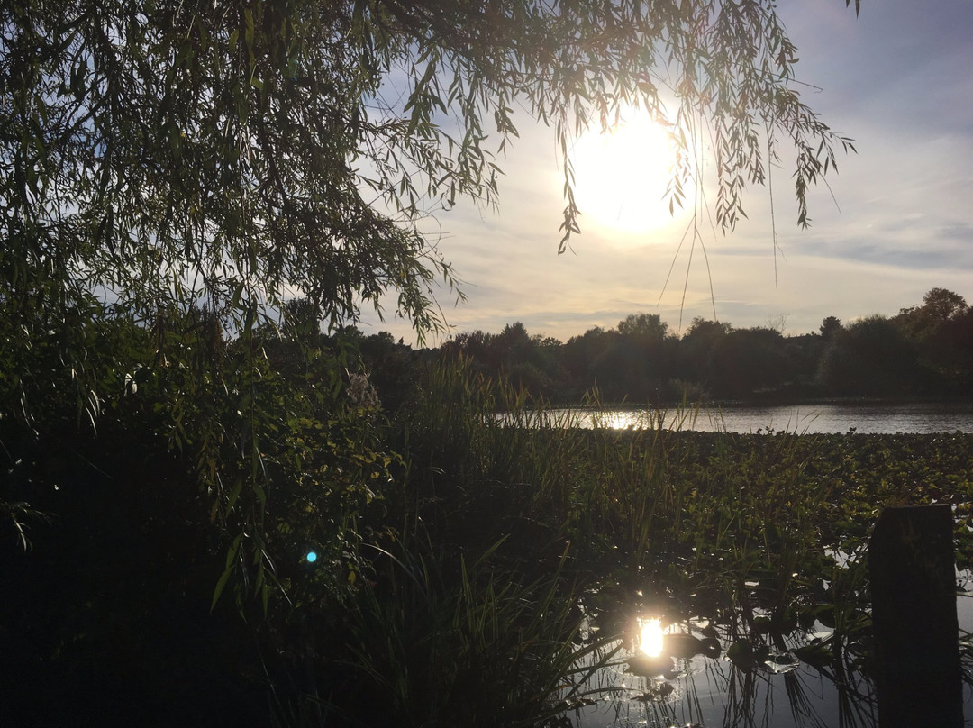 John Hendry (Trout Lake) Park-温哥华必去景点