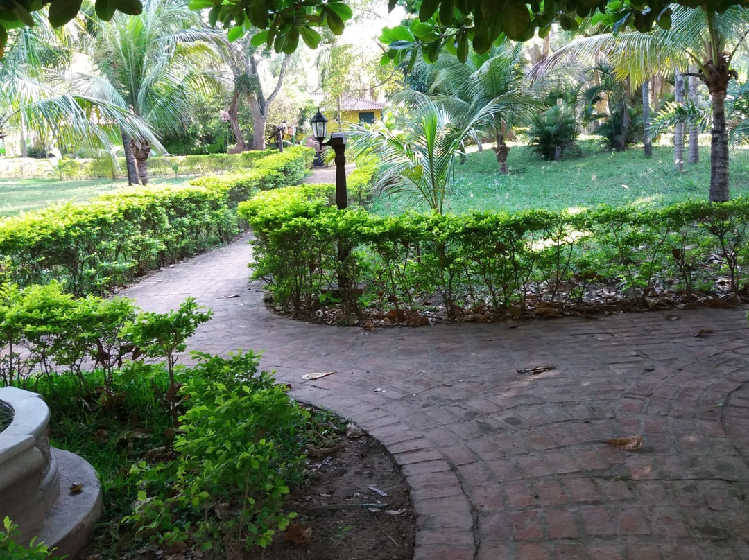 Hotel Rio Selva Resort Santa Cruz主图