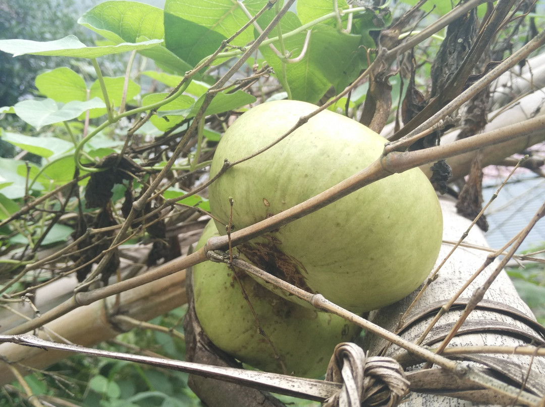 宁波九龙湖风景区-宁波市必去景点