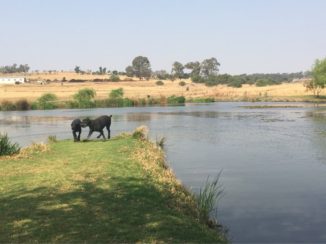 Madeteleli旅游景点-Walkhaven Dog Park