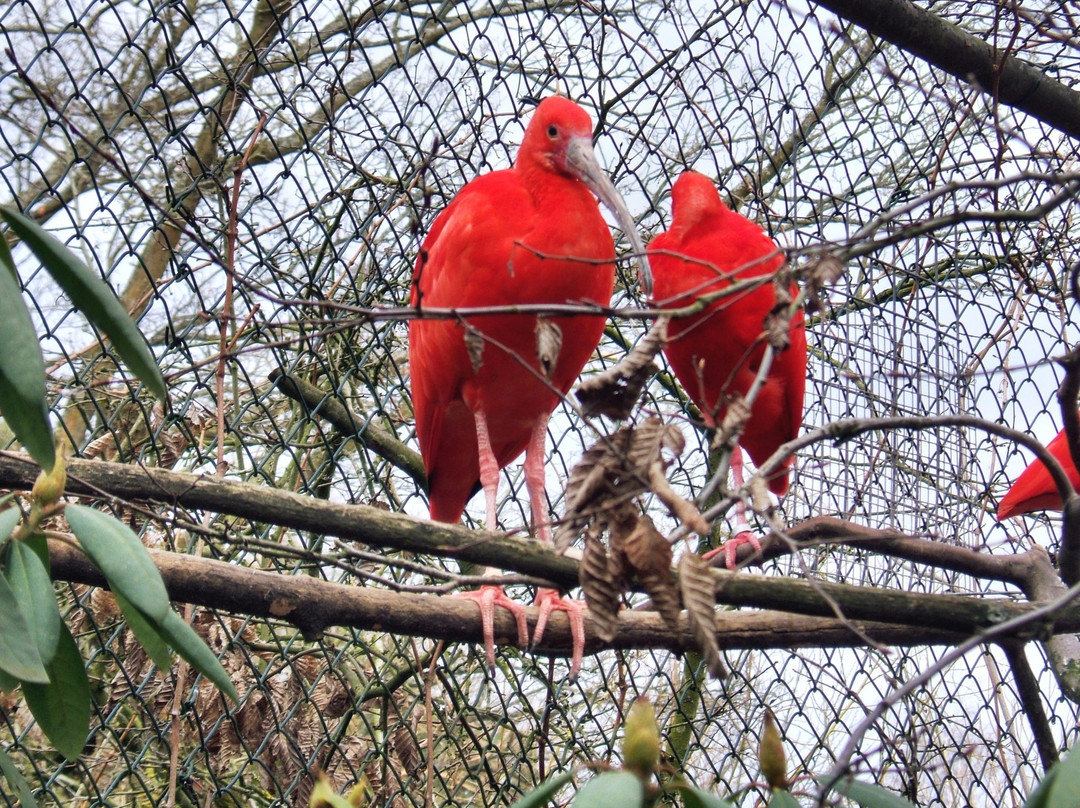 Tierpark Herborn-Herborn必去景点
