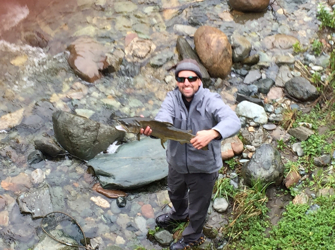 New Zealand Trout Adventures-Collingwood必去景点