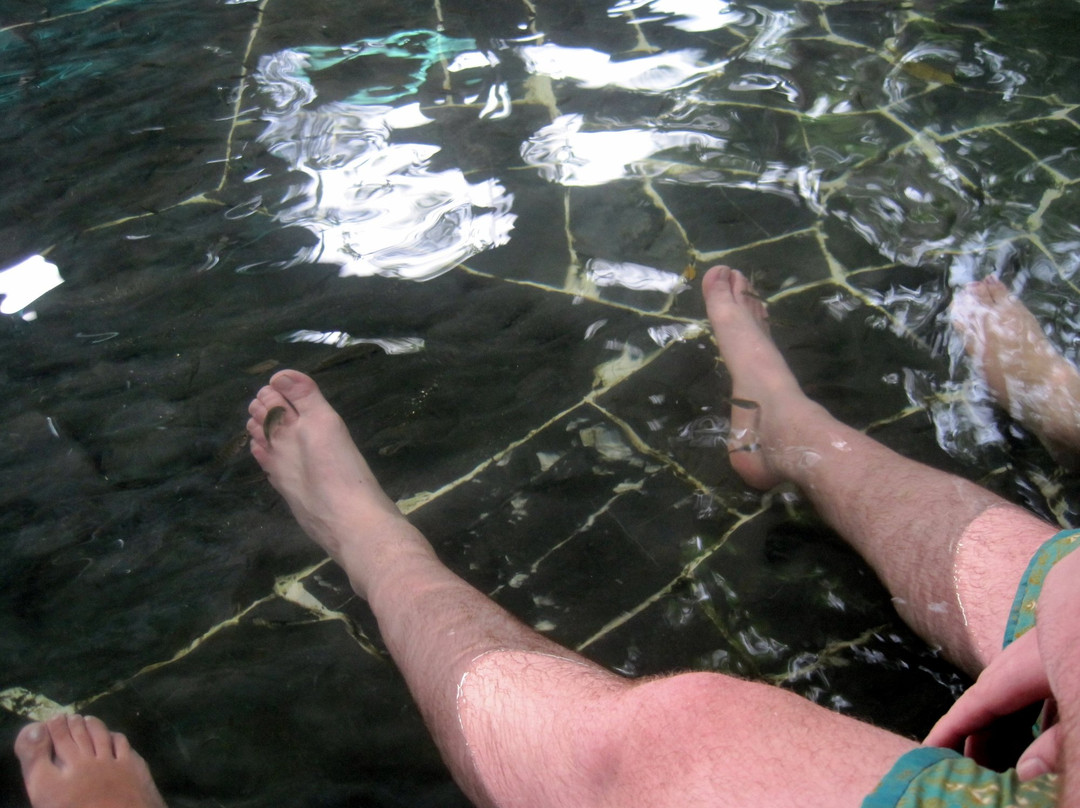Rock Valley Hot Spring & Fish Spa景点图片