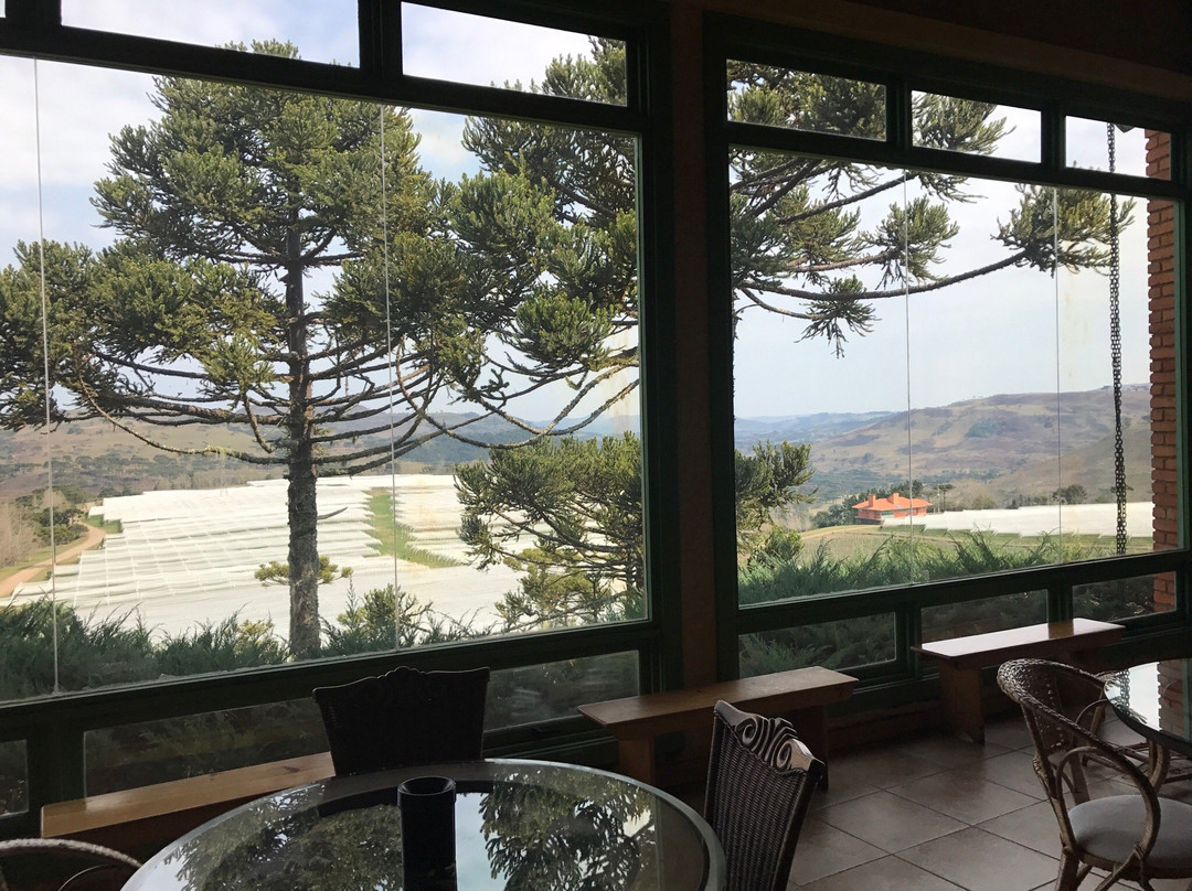 Villa Francioni-Sao Joaquim必去景点