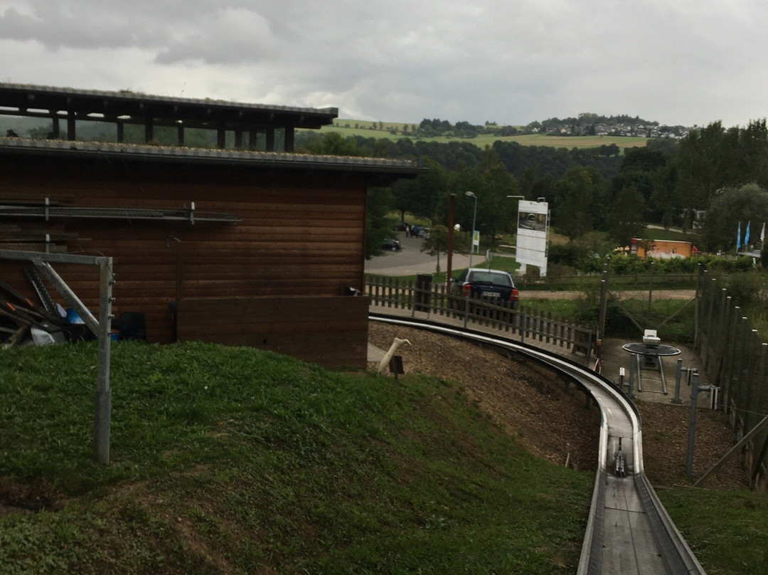 Sommerrodelbahn Loreley-Bob景点图片