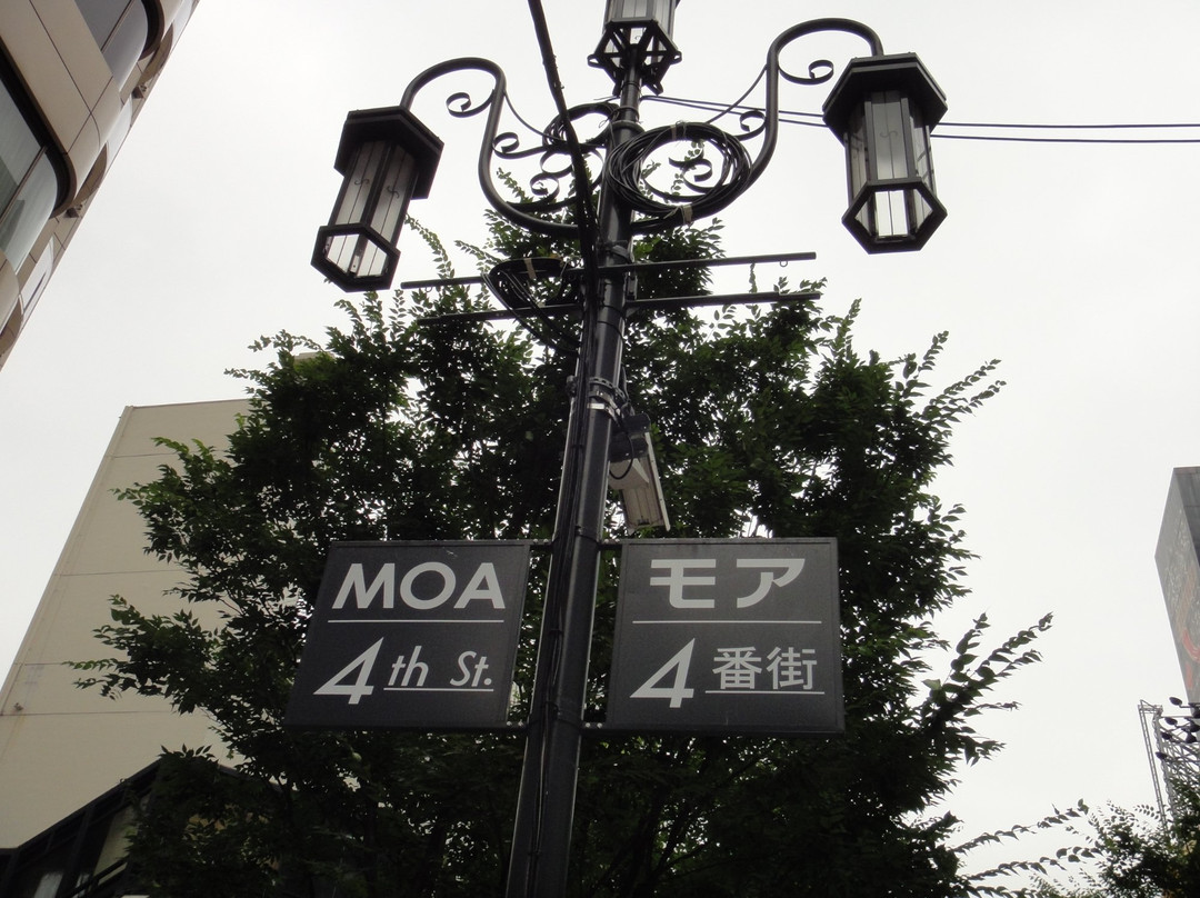 Moa 4景点图片