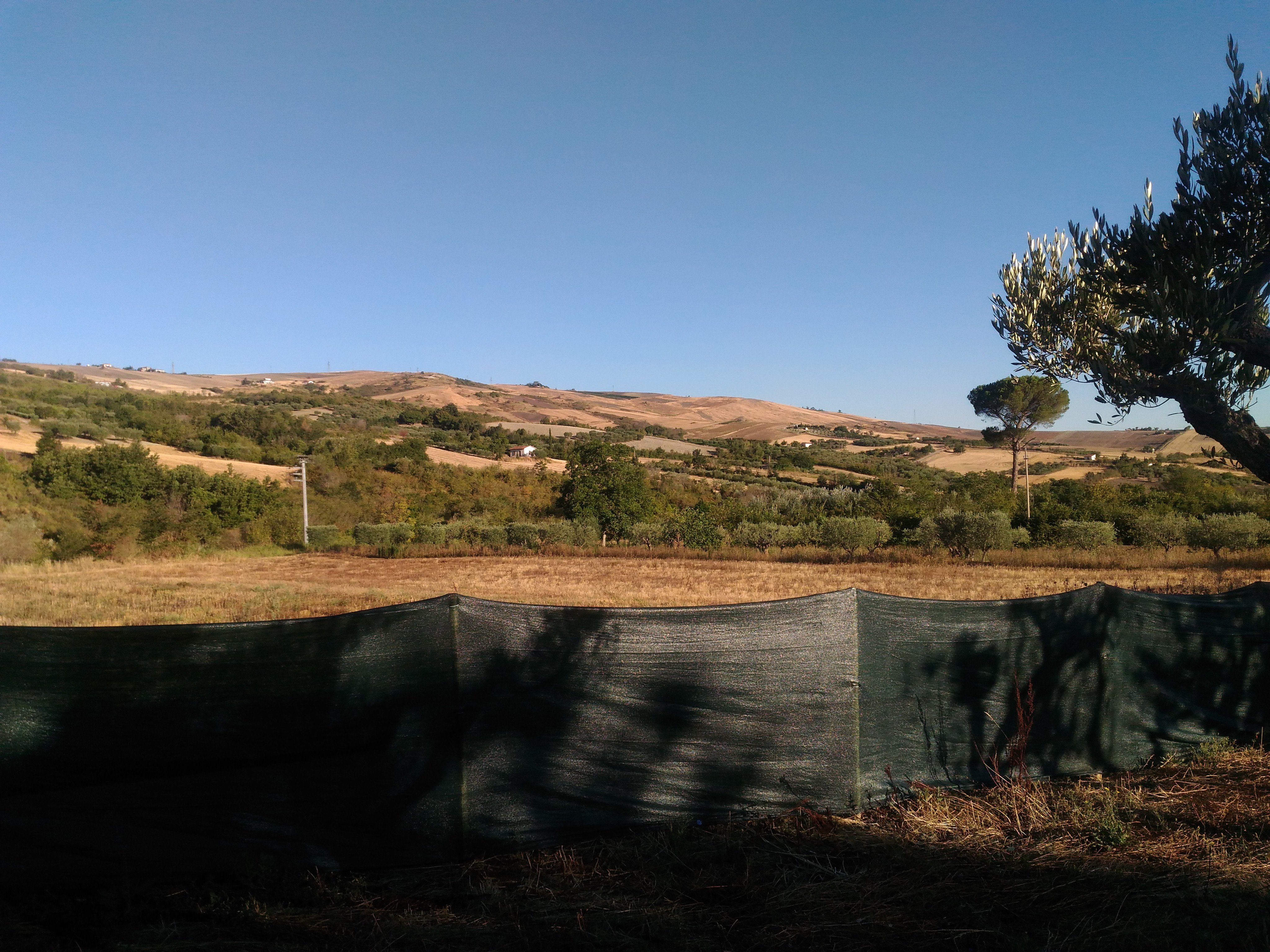 Agriturismo Angelo Cela-官方